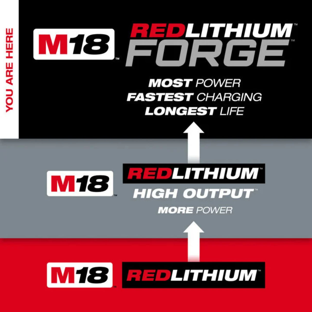 Milwaukee M18 REDLITHIUM FORGE HD12.0 Dual Battery Starter Kit